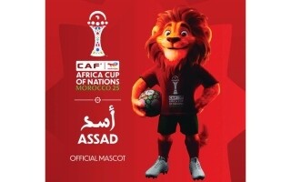 Africa Cup of Nations Team Nicknames: History and Identity