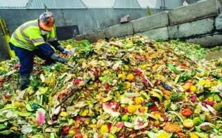 Новый закон против пищевых отходов предложен в Марокко