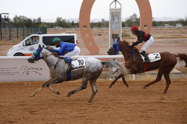 8-я ежегодная фестивальная серия Шейха Мансура на ипподроме Марракеша